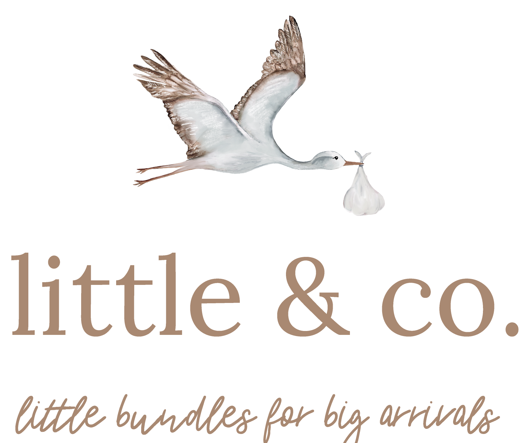 Little & Co logo